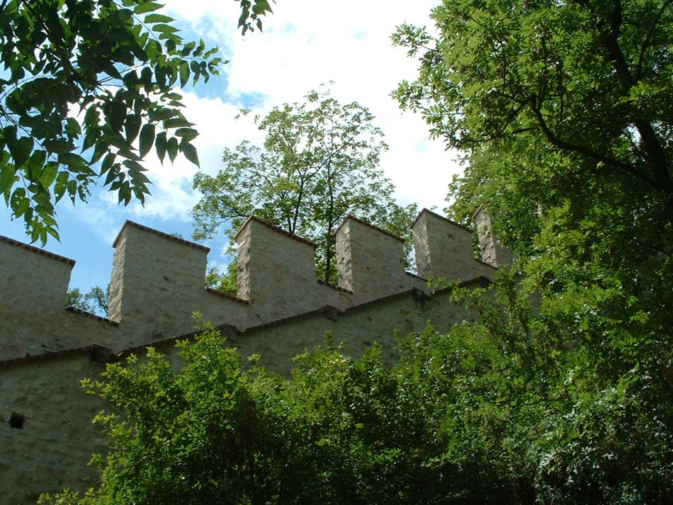 Photography by Mamtak for DesignCrowd (Community Contests) | Design #9002020