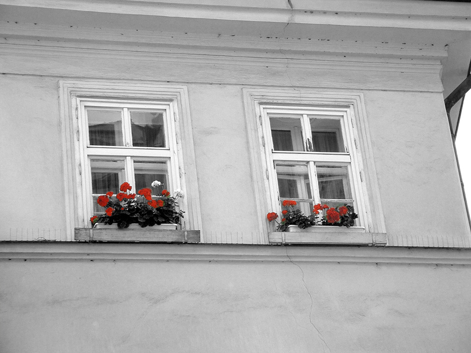 Fotografía por Mamtak para DesignCrowd (Community Contests) | Diseño #9006477