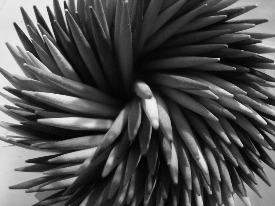 Photography by kellymhaak for DesignCrowd (Community Contests) | Design #9005819