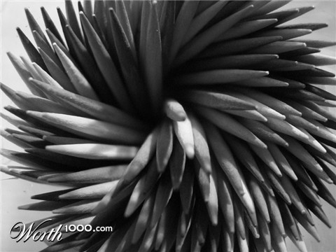 Photography by kellymhaak