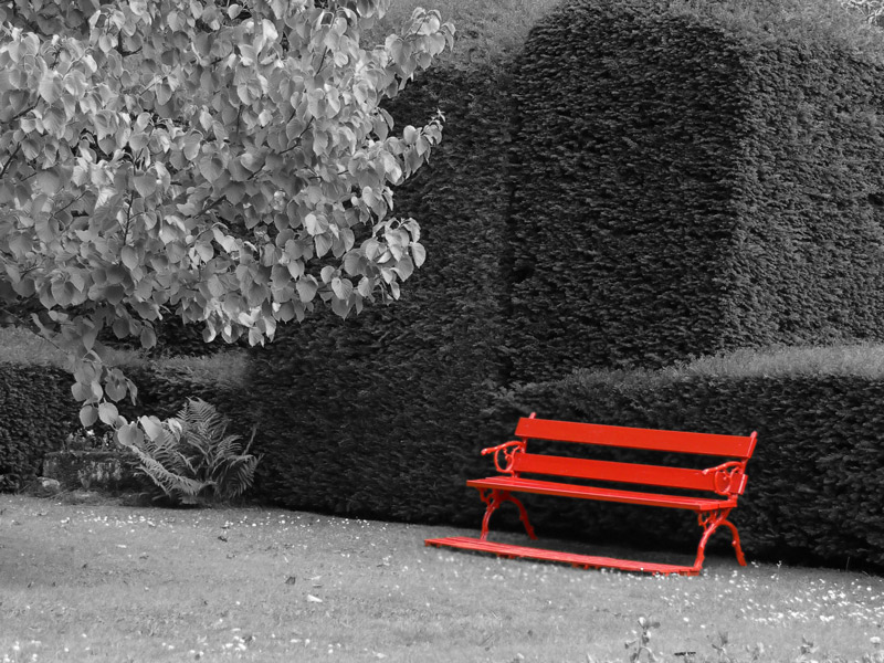 Fotografía por alicina para DesignCrowd (Community Contests) | Diseño #9006456