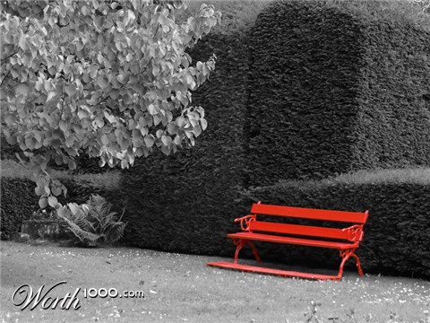 Photography by alicina