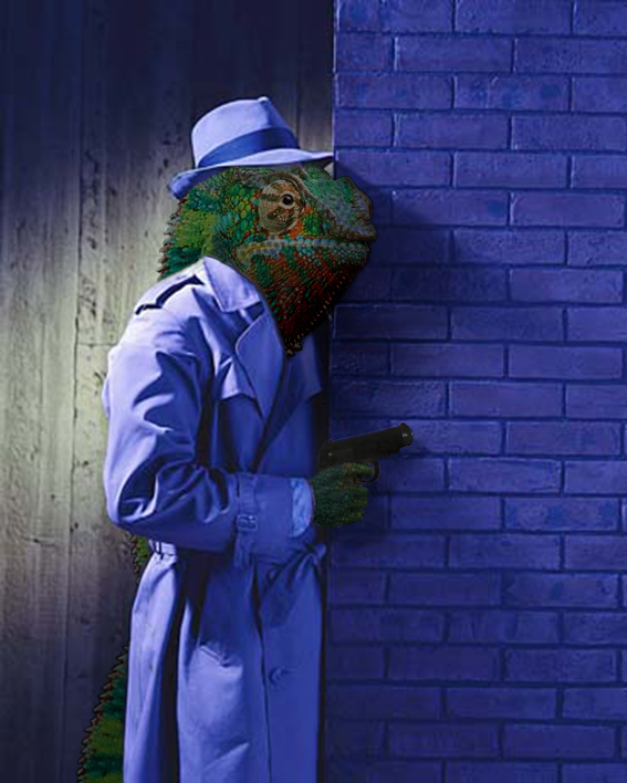 Photoshop Design by drmacuser for DesignCrowd (Community Contests) | Design #9001325