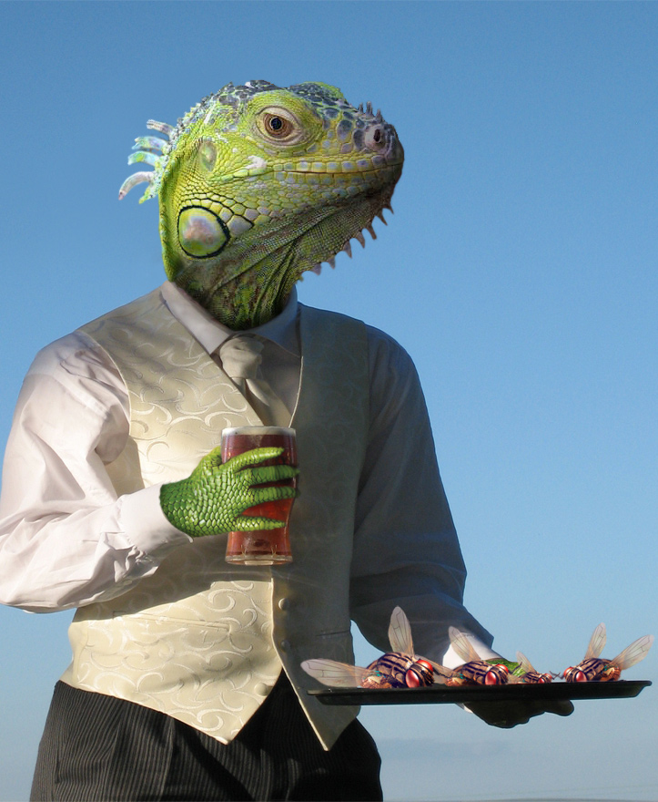 Photoshop-Design von cameon für DesignCrowd (Community Contests) | Design #9001268