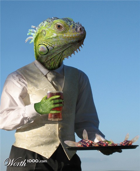 Photoshop Design by cameon