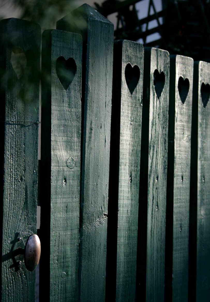 Photography by saturn673 for DesignCrowd (Community Contests) | Design #9005448