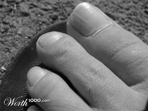 Photography by Qofcheez