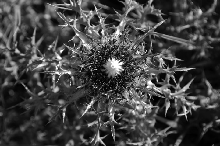 Photography by toscio for DesignCrowd (Community Contests) | Design #9005908