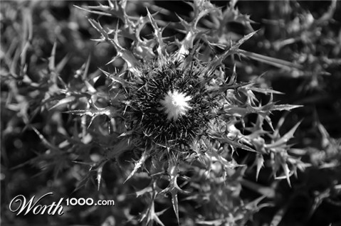 Photography by toscio