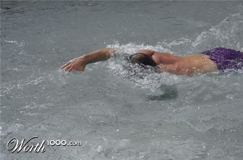 Photography by bvanderhofstede