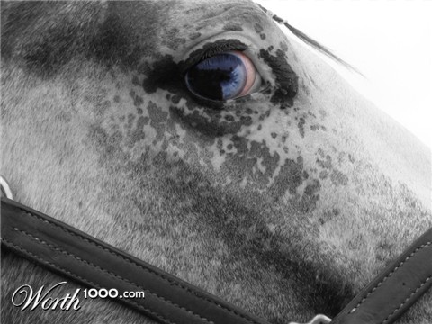 Photography by FamousAsset