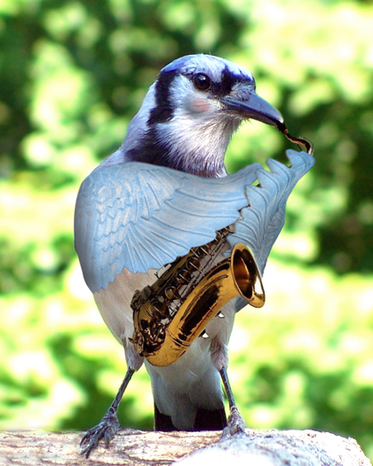 Photoshop Design by mattbyng for DesignCrowd (Community Contests) | Design #9001432