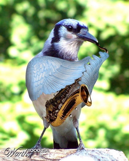 Photoshop Design by mattbyng