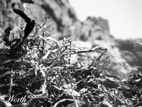 Photography by maureenie