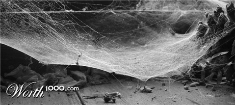 Photography by Nguuju