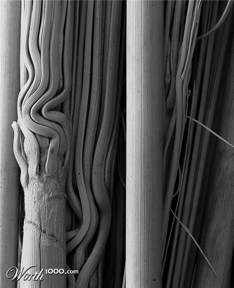 Photography by mare53