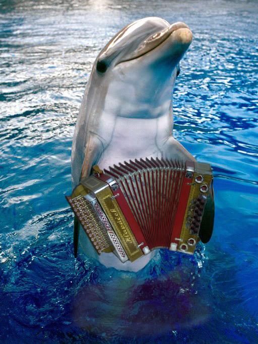 Photoshop Design by dogbys for DesignCrowd (Community Contests) | Design #9001466