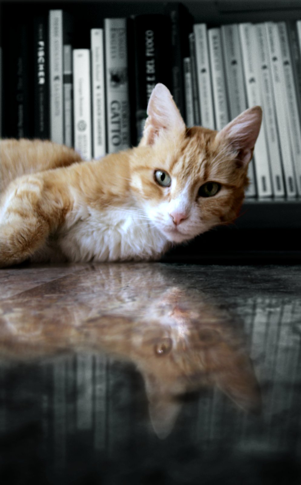 Photography by saturn673 for DesignCrowd (Community Contests) | Design #9006550