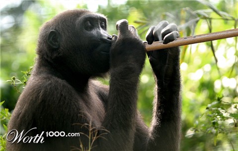 Photoshop Design by MOSCHAMENSCH