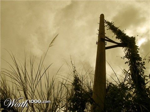 Photography by francodr