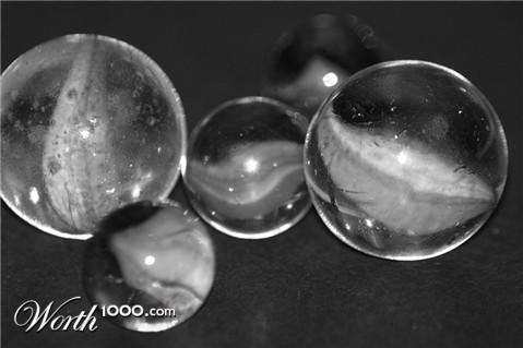 Photography by darlingmkt