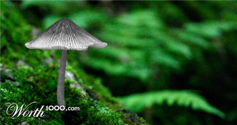 Photography by rdchdwck