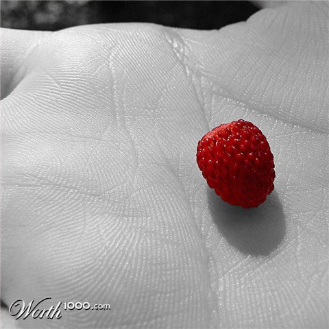 Photography by jandreu