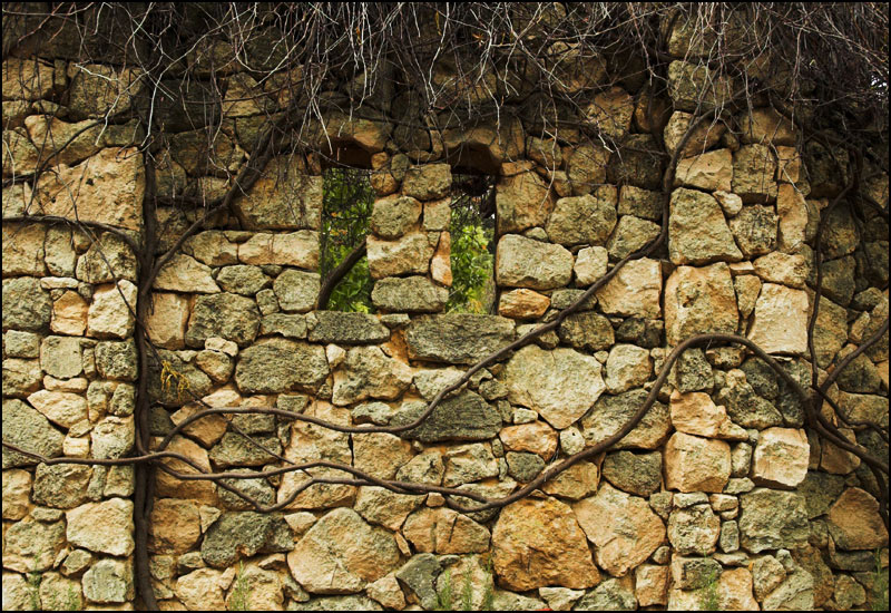 Fotografía por kimbomac para DesignCrowd (Community Contests) | Diseño #9002072