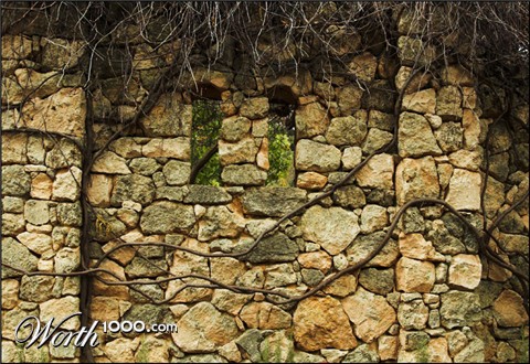 Photography by kimbomac