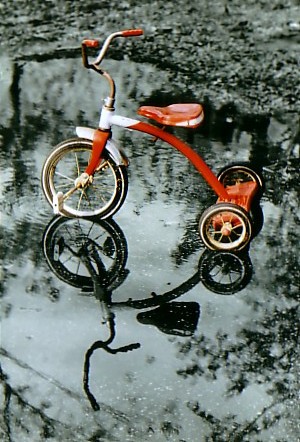 Photography by darrinb for DesignCrowd (Community Contests) | Design #9006749