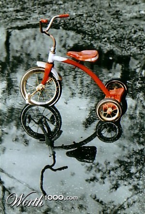 Photography by darrinb