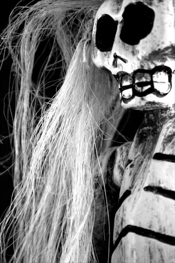 Photographie par LaylaBlue pour DesignCrowd (Community Contests) | Design #9006050