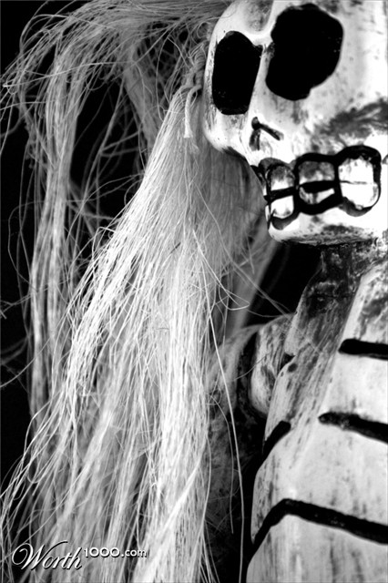 Photography by LaylaBlue