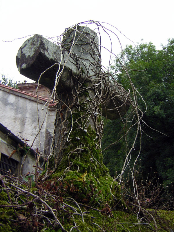 Fotografie von holdenzgz für DesignCrowd (Community Contests) | Design #9002101