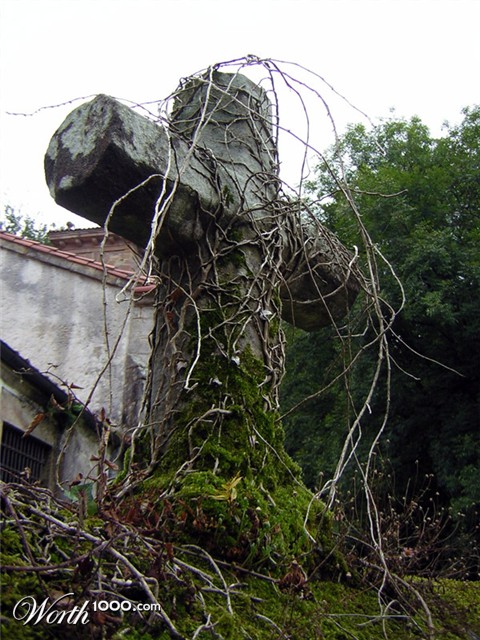 Photography by holdenzgz