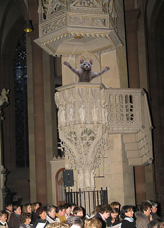 Design Photoshop par Wagithechif pour DesignCrowd (Community Contests) | Design #9001557