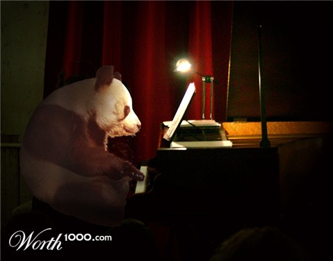 Photoshop Design by Wolfert