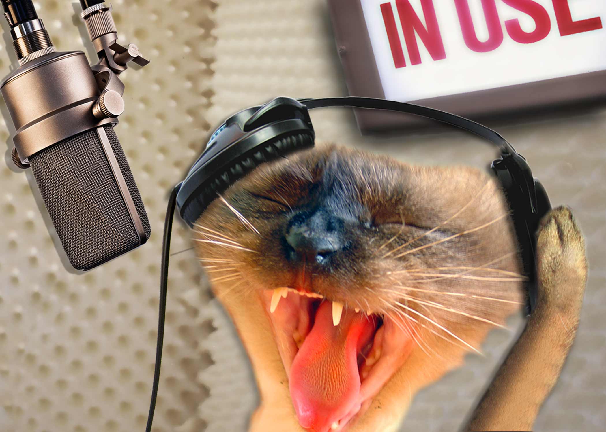 Diseño de Photoshop por JuniorWences para DesignCrowd (Community Contests) | Diseño #9001513