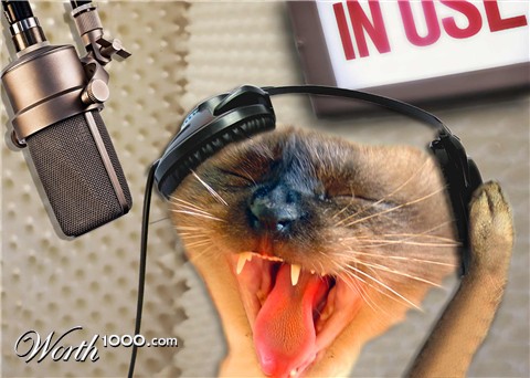 Photoshop Design by JuniorWences