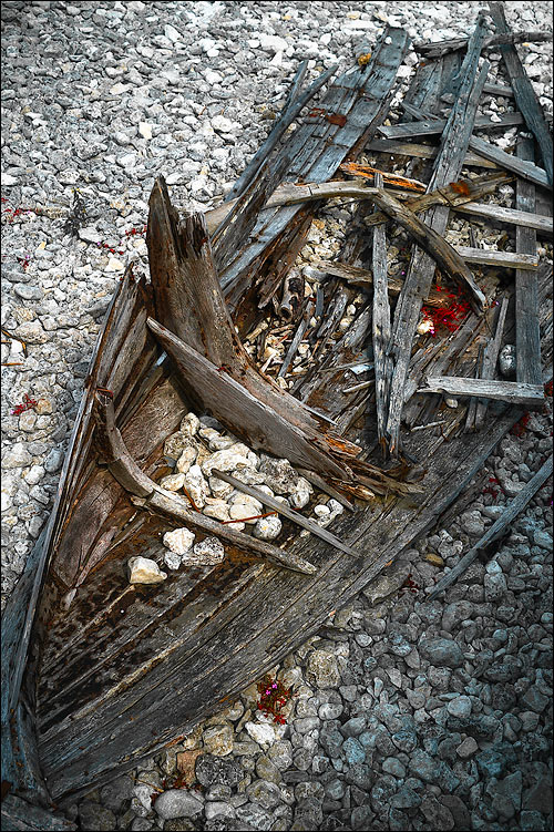 Photography by meerkat2 for DesignCrowd (Community Contests) | Design #9002056