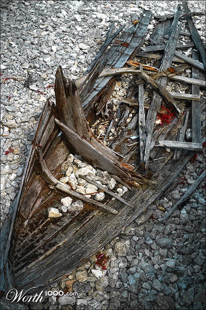 Photography by meerkat2