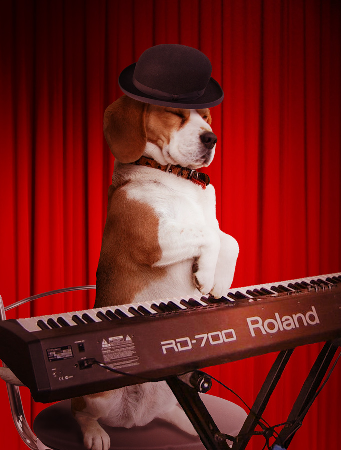 Photoshop Design by Boomshanka for DesignCrowd (Community Contests) | Design #9001656