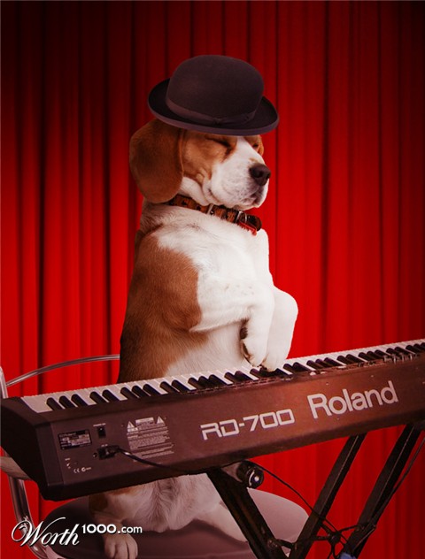 Photoshop Design by Boomshanka