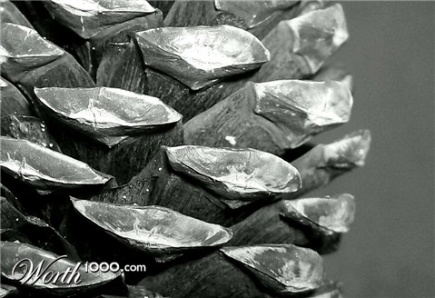 Photography by emily4real