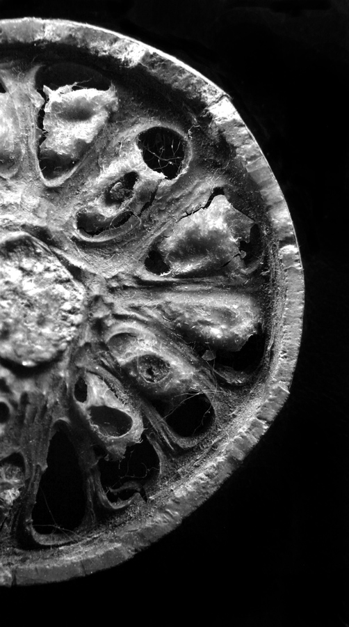 Photography by JillianRed for DesignCrowd (Community Contests) | Design #9006055