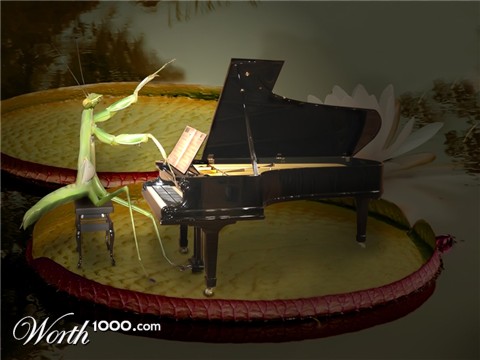 Photoshop Design by serenade