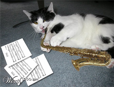 Photoshop Design by Crystal211