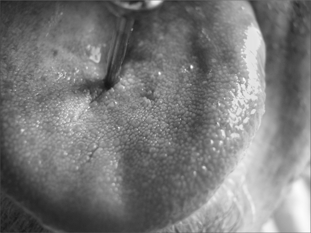 Fotografie von timpeeler37 für DesignCrowd (Community Contests) | Design #9006088