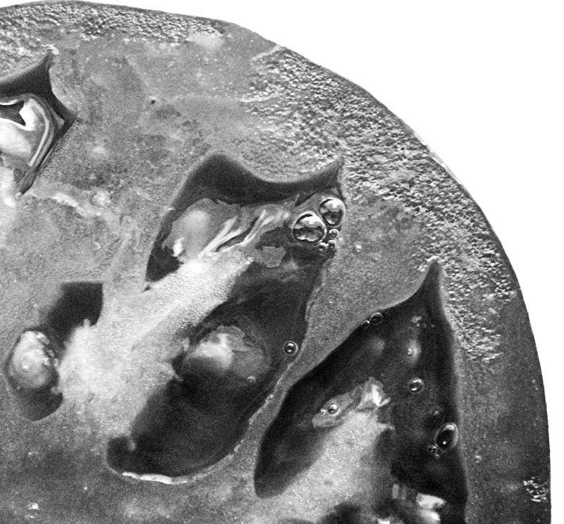 Photography by TimeTraveler for DesignCrowd (Community Contests) | Design #9005913