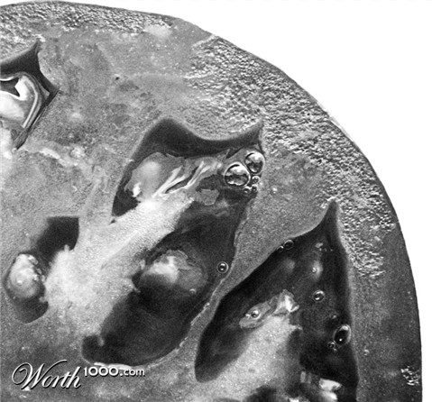 Photography by TimeTraveler